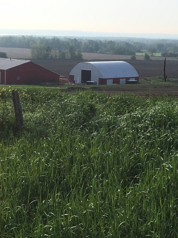 Arch building on shipping containers on a farm